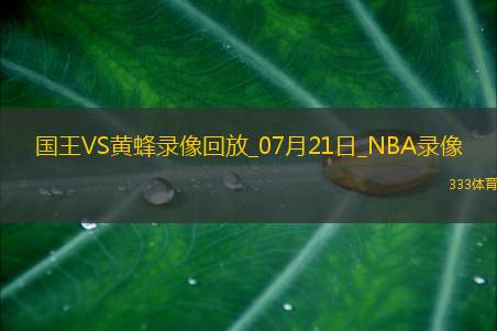 NBA夏季联赛决赛国王78-83黄蜂