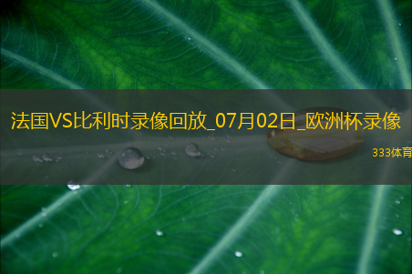 欧洲杯1/8决赛法国1-0比利时